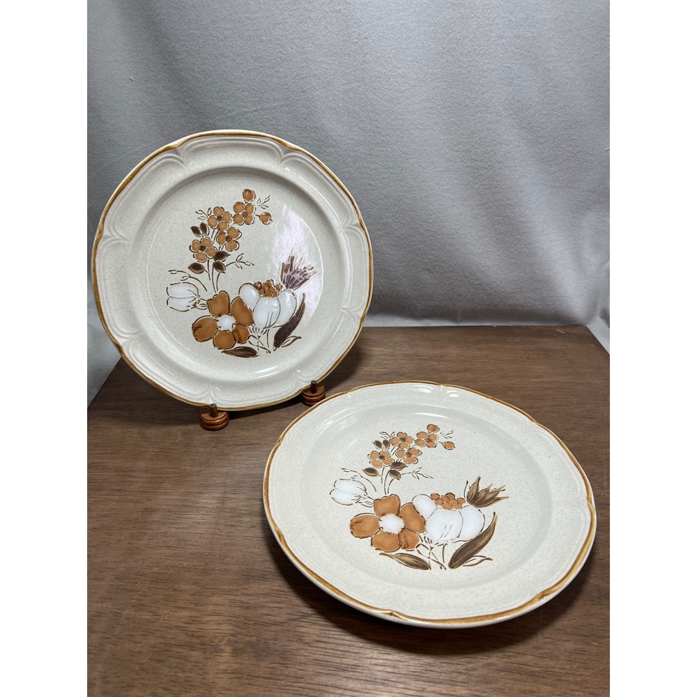 Baroque Autumn Fair Dinner Plates ‎ Hearthside Stoneware Tan Floral 70s Vintage